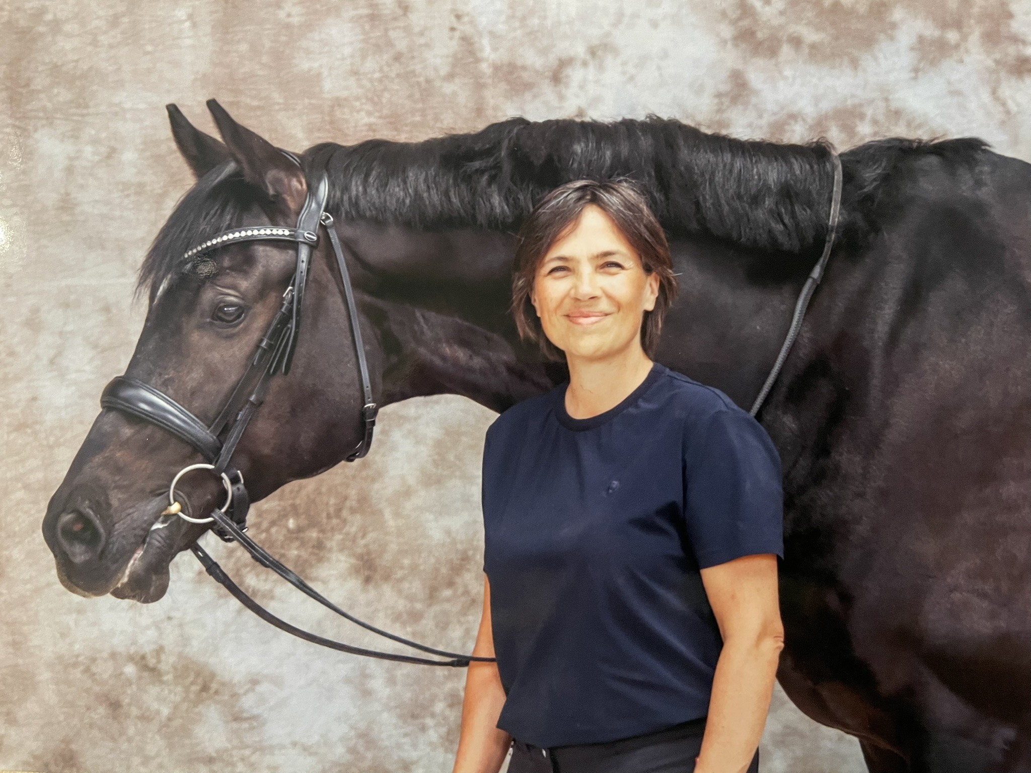 Séance d'équicoaching à la SHEVA